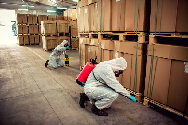 Best Pest Removal Services  in Haughton, LA