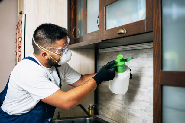 Best Affordable Pest Control Services  in Haughton, LA