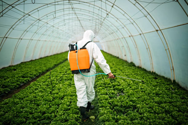Best Insect Control  in Haughton, LA