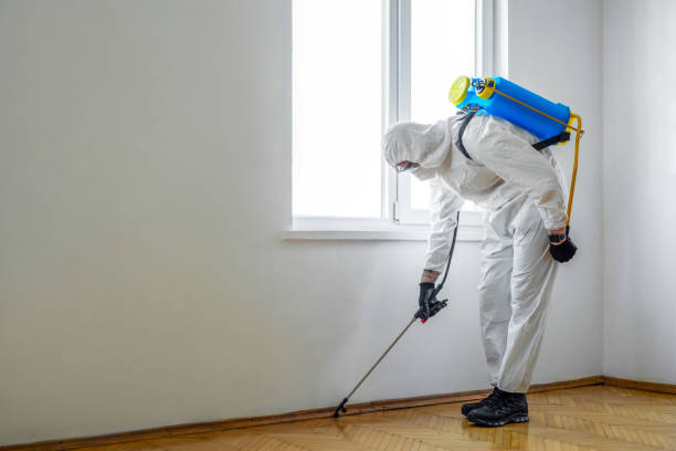 Best Rat Extermination Near Me  in Haughton, LA