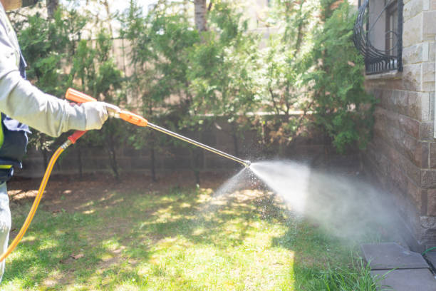 Professional Pest Control in Haughton, LA