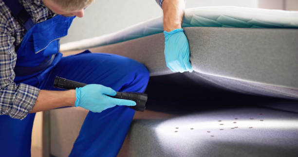 Best Commercial Pest Control Services  in Haughton, LA