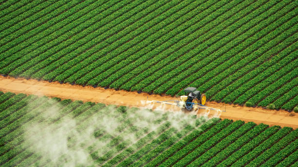 Best Pest Inspection Near Me  in Haughton, LA