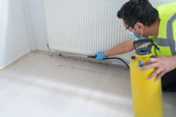 Best Mosquito Control Services  in Haughton, LA