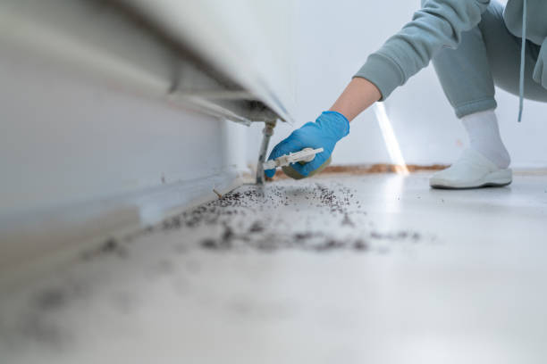 Best Pest Control for Restaurants  in Haughton, LA